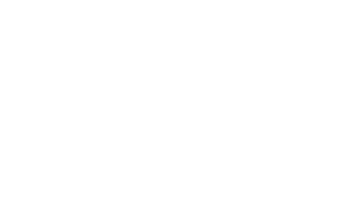 D&O Partners