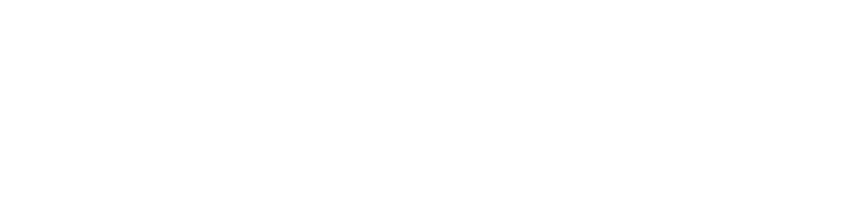 Risk Placement Services