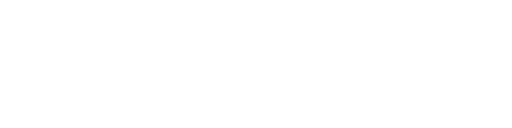 Synergy INS